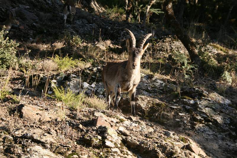 SPANJE 2011 - 435